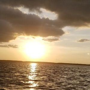 Meet your Posher, Geidy